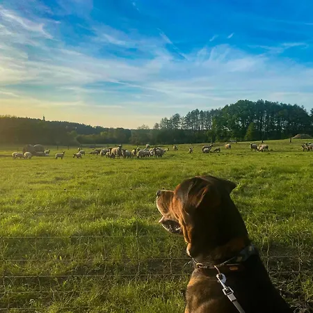 Zur Wirtin Eventlocation Und Gaestehaus 3*