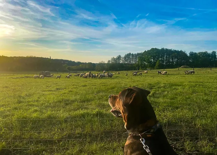 Zur Wirtin Eventlocation Und Gaestehaus 3*